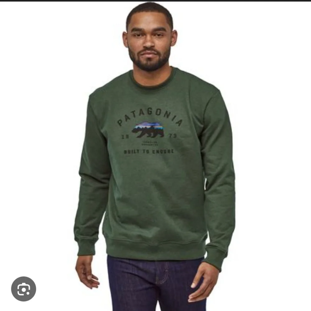 Patagonia Arched Fitz Roy Bear Crew Neck Size L - Picture 1 of 7
